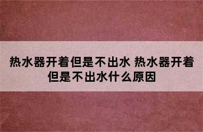 热水器开着但是不出水 热水器开着但是不出水什么原因